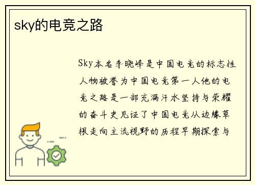 sky的电竞之路